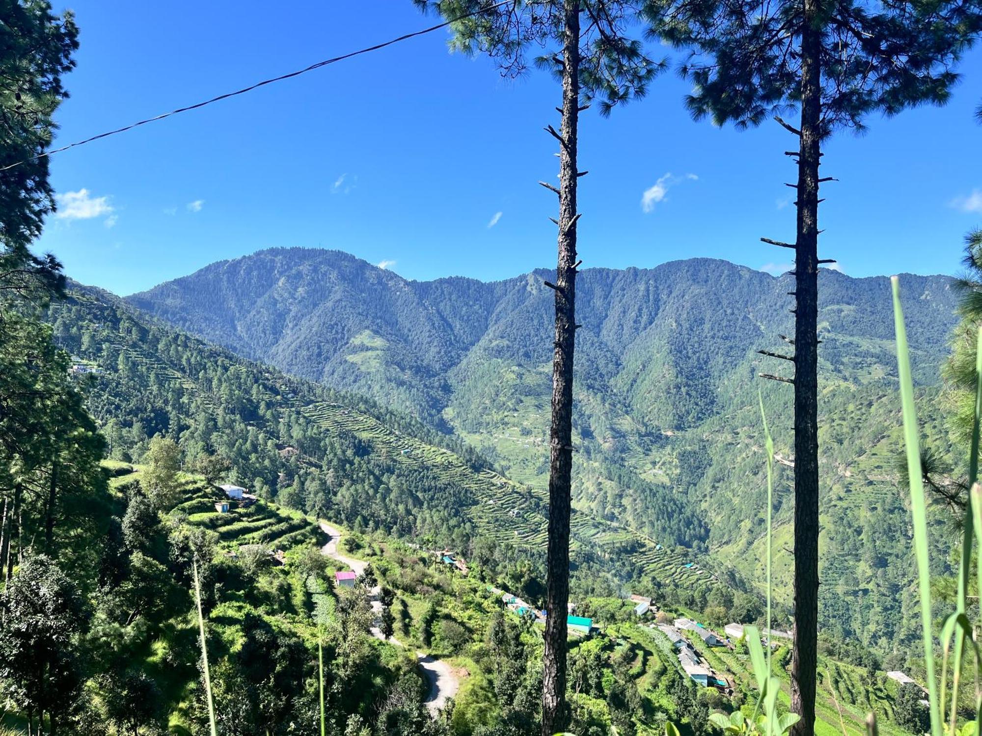Himalayan Hill Top Resort Канатал Екстер'єр фото