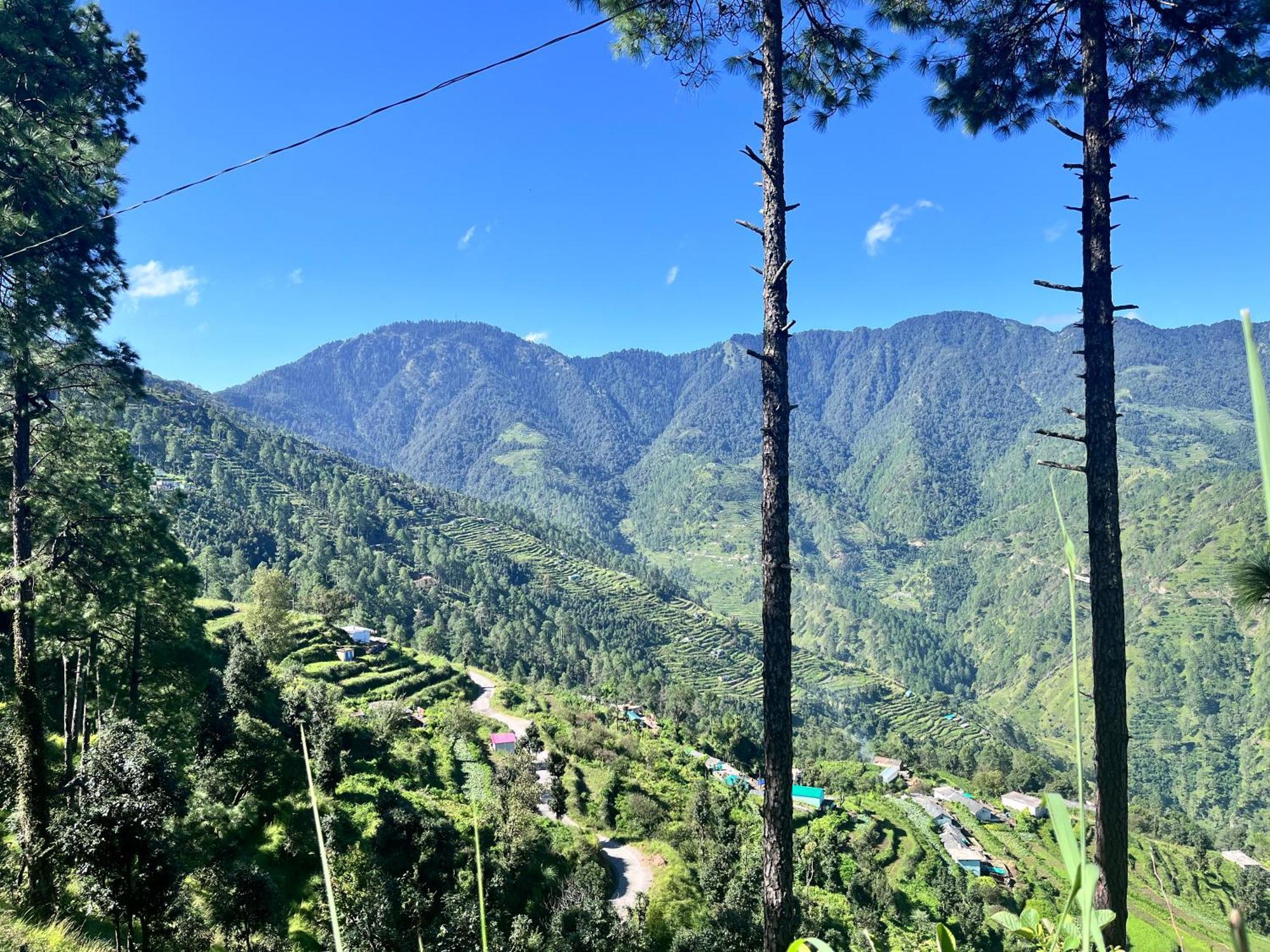 Himalayan Hill Top Resort Канатал Екстер'єр фото